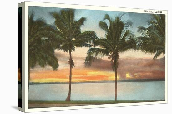 Sunset, Palm Trees, Florida-null-Stretched Canvas
