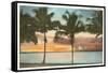 Sunset, Palm Trees, Florida-null-Framed Stretched Canvas