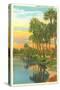Sunset, Palm Trees, Florida-null-Stretched Canvas