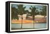 Sunset, Palm Trees, Florida-null-Framed Stretched Canvas