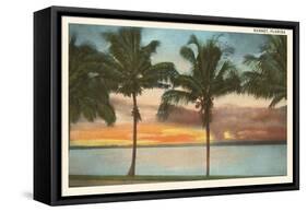 Sunset, Palm Trees, Florida-null-Framed Stretched Canvas