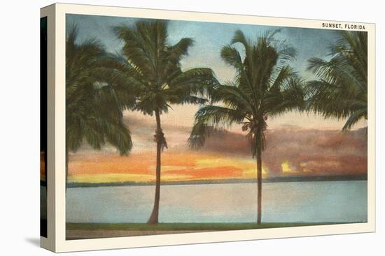 Sunset, Palm Trees, Florida-null-Stretched Canvas