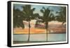 Sunset, Palm Trees, Florida-null-Framed Stretched Canvas