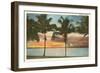 Sunset, Palm Trees, Florida-null-Framed Art Print