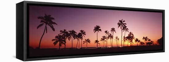 Sunset Palm Trees Oahu Island Hi USA-null-Framed Stretched Canvas