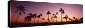 Sunset Palm Trees Oahu Island Hi USA-null-Stretched Canvas