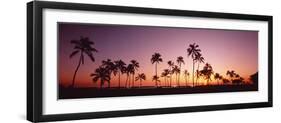 Sunset Palm Trees Oahu Island Hi USA-null-Framed Photographic Print