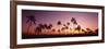 Sunset Palm Trees Oahu Island Hi USA-null-Framed Photographic Print