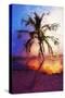 Sunset Palm VI - In the Style of Oil Painting-Philippe Hugonnard-Stretched Canvas