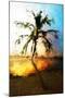 Sunset Palm VII - In the Style of Oil Painting-Philippe Hugonnard-Mounted Giclee Print
