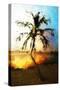 Sunset Palm VII - In the Style of Oil Painting-Philippe Hugonnard-Stretched Canvas