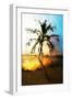 Sunset Palm VII - In the Style of Oil Painting-Philippe Hugonnard-Framed Giclee Print