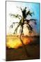 Sunset Palm VII - In the Style of Oil Painting-Philippe Hugonnard-Mounted Giclee Print