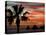 Sunset Palm with Rock Formation, Los Arcos in the Distance, Cabo San Lucas, Baja California, Mexico-Cindy Miller Hopkins-Stretched Canvas