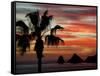 Sunset Palm with Rock Formation, Los Arcos in the Distance, Cabo San Lucas, Baja California, Mexico-Cindy Miller Hopkins-Framed Stretched Canvas