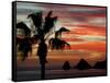 Sunset Palm with Rock Formation, Los Arcos in the Distance, Cabo San Lucas, Baja California, Mexico-Cindy Miller Hopkins-Framed Stretched Canvas