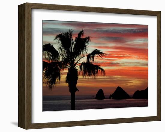 Sunset Palm with Rock Formation, Los Arcos in the Distance, Cabo San Lucas, Baja California, Mexico-Cindy Miller Hopkins-Framed Premium Photographic Print