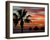 Sunset Palm with Rock Formation, Los Arcos in the Distance, Cabo San Lucas, Baja California, Mexico-Cindy Miller Hopkins-Framed Premium Photographic Print