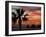 Sunset Palm with Rock Formation, Los Arcos in the Distance, Cabo San Lucas, Baja California, Mexico-Cindy Miller Hopkins-Framed Premium Photographic Print