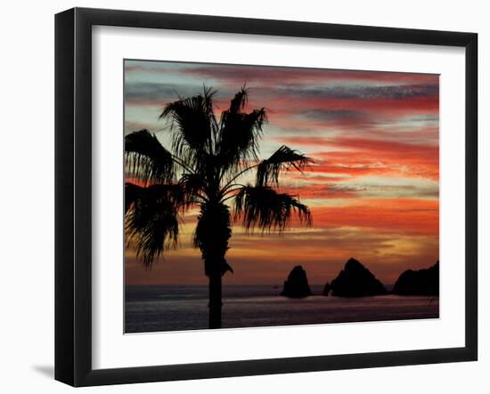 Sunset Palm with Rock Formation, Los Arcos in the Distance, Cabo San Lucas, Baja California, Mexico-Cindy Miller Hopkins-Framed Photographic Print