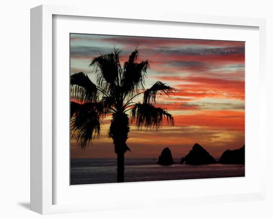 Sunset Palm with Rock Formation, Los Arcos in the Distance, Cabo San Lucas, Baja California, Mexico-Cindy Miller Hopkins-Framed Photographic Print