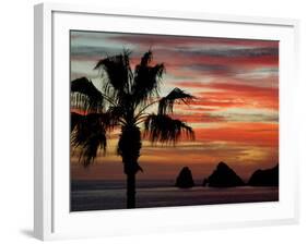 Sunset Palm with Rock Formation, Los Arcos in the Distance, Cabo San Lucas, Baja California, Mexico-Cindy Miller Hopkins-Framed Photographic Print