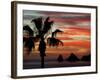 Sunset Palm with Rock Formation, Los Arcos in the Distance, Cabo San Lucas, Baja California, Mexico-Cindy Miller Hopkins-Framed Photographic Print