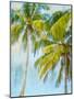 Sunset Palms 2-Kimberly Allen-Mounted Art Print