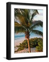 Sunset Palms I-Susan Bryant-Framed Photographic Print