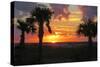 Sunset Palms I-Alex Williams-Stretched Canvas