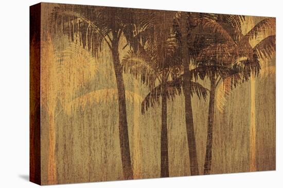 Sunset Palms III-Amori-Stretched Canvas