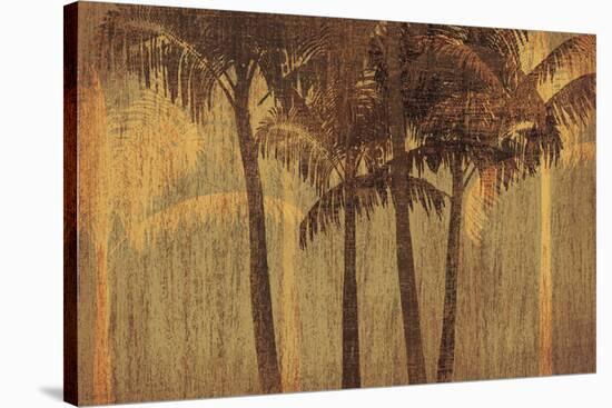 Sunset Palms III-Amori-Stretched Canvas