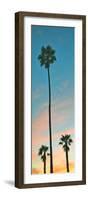 Sunset Palms-Gail Peck-Framed Photographic Print