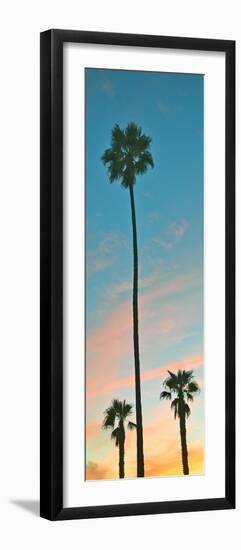 Sunset Palms-Gail Peck-Framed Photographic Print