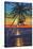 Sunset Palms-Scott Westmoreland-Stretched Canvas