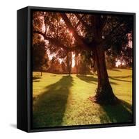 Sunset Park in Essex-null-Framed Stretched Canvas
