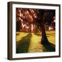 Sunset Park in Essex-null-Framed Photographic Print