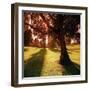 Sunset Park in Essex-null-Framed Photographic Print