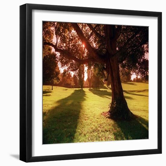 Sunset Park in Essex-null-Framed Photographic Print