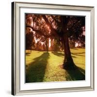 Sunset Park in Essex-null-Framed Photographic Print