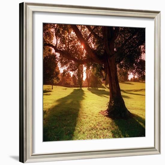 Sunset Park in Essex-null-Framed Photographic Print