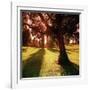 Sunset Park in Essex-null-Framed Photographic Print