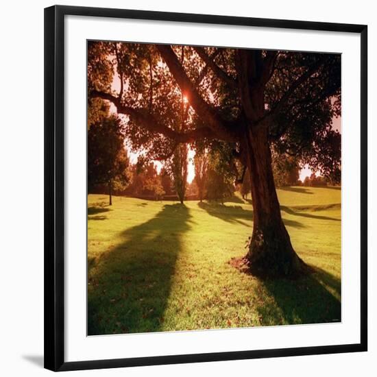 Sunset Park in Essex-null-Framed Photographic Print