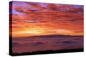 Sunset, Parque Nacional Del Teide, Tenerife, Canary Islands, 2007-Peter Thompson-Stretched Canvas