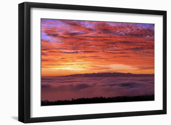 Sunset, Parque Nacional Del Teide, Tenerife, Canary Islands, 2007-Peter Thompson-Framed Photographic Print