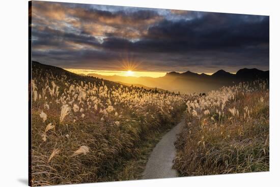 Sunset Pathway-Tom Mackie-Stretched Canvas
