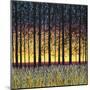 Sunset Peace-Daniel Lager-Mounted Giclee Print