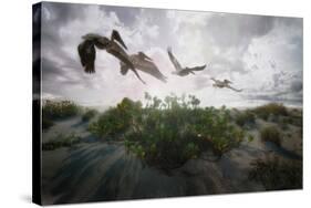 Sunset Pelicans-Steve Hunziker-Stretched Canvas