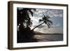 Sunset, Playa Dorada Beach, Near Puerto Plata, Dominican Republic-Natalie Tepper-Framed Photo