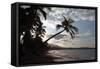 Sunset, Playa Dorada Beach, Near Puerto Plata, Dominican Republic-Natalie Tepper-Framed Stretched Canvas